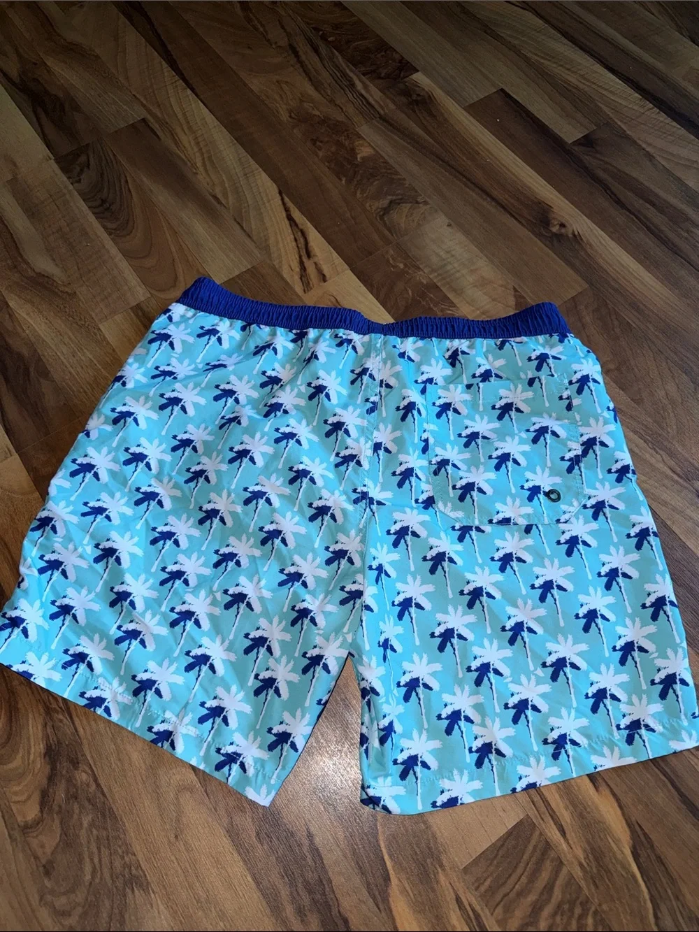 Surfcuz Men's Light Blue Palm-Print Swim Trunks